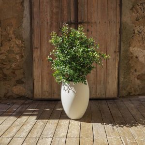Vaso redondo ALOE 45