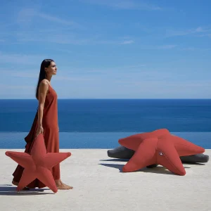 Estrela flutuante Starfish