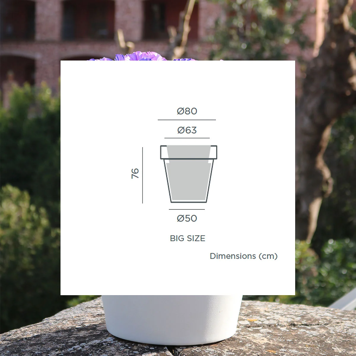 Vaso grande MAGNOLIA 80CM - Image 9